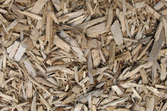 biomass boilers Duncanstone
